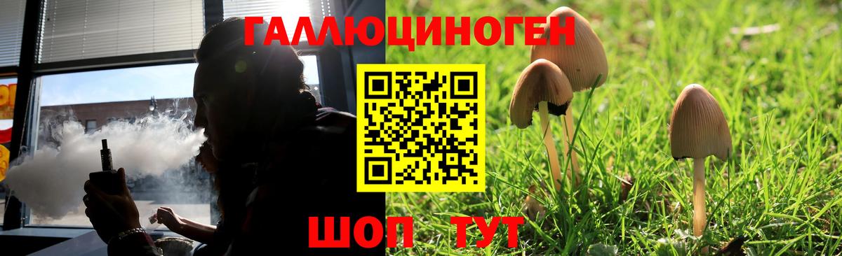 Галлюциногенные грибы ЛСД  Вход с VPN  Псилоцибиновые грибы Magic Shrooms  Можга 