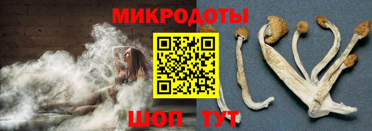 Галлюциногенные грибы Psilocybe Можга